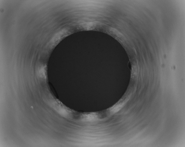 X0000078270286200611251401