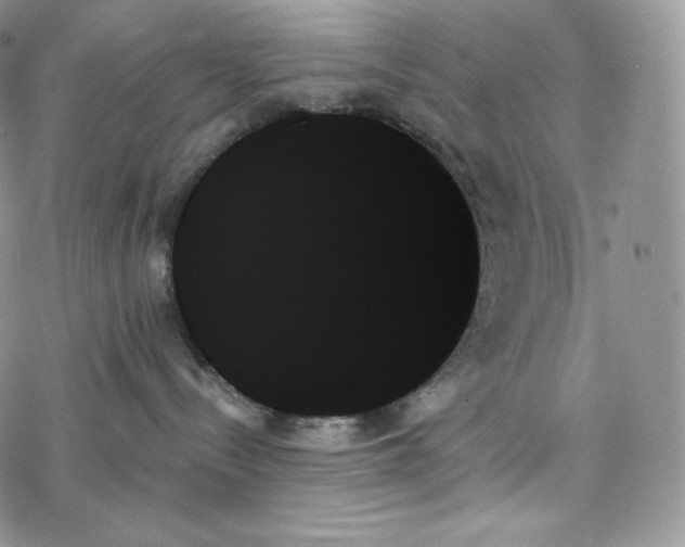 X0000078270288200611251401