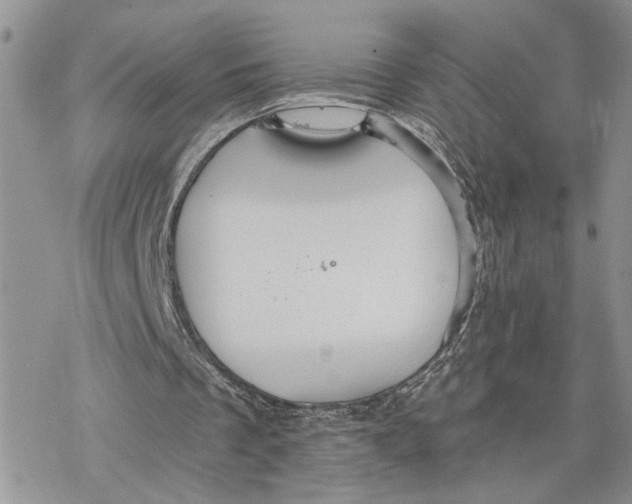 X0000078270289200611251400