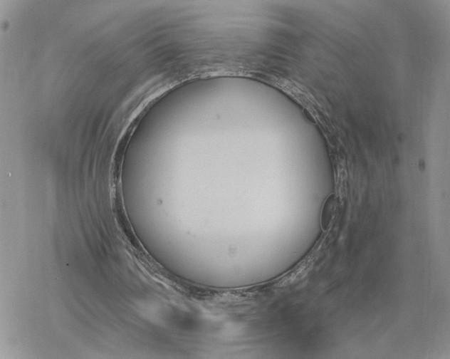 X0000078270290200611251400