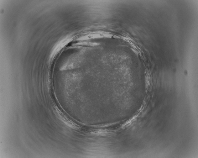 X0000078270293200611251400