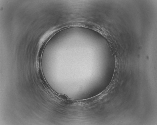 X0000078270294200611251400