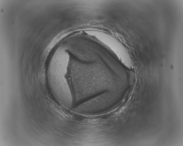 X0000078270295200611251400