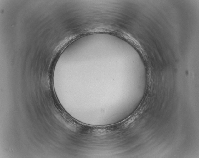 X0000078270298200611251400