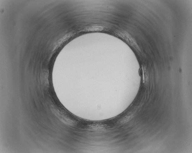 X0000078270300200611251400