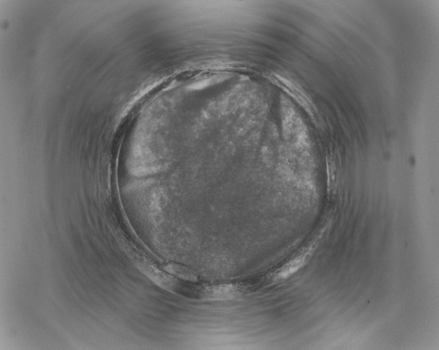 X0000078270301200611251400