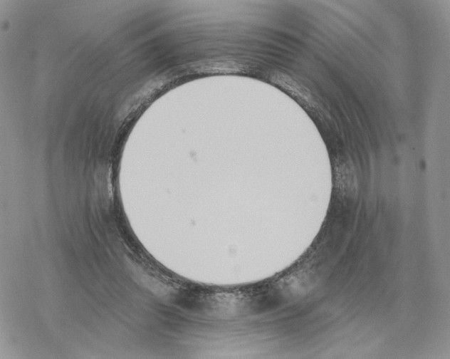 X0000078270302200611251400