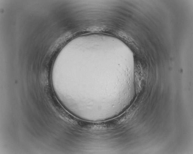 X0000078270303200611251400