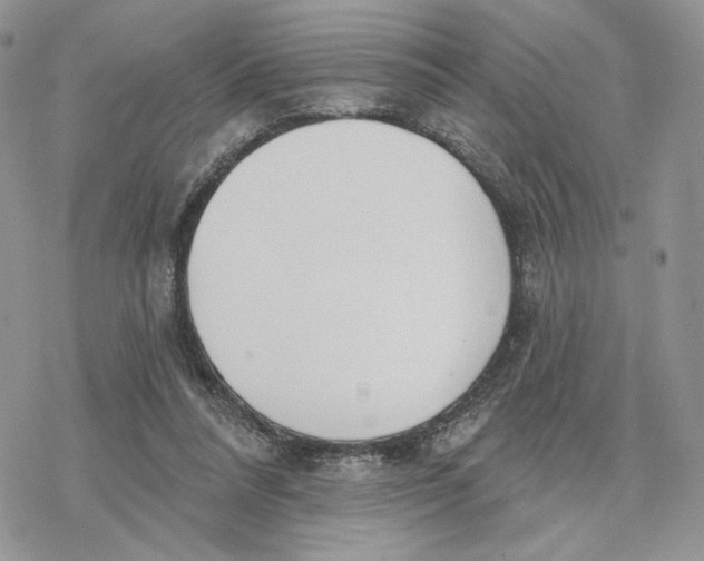 X0000078270304200611251400