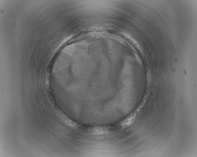 X0000078270305200611251400