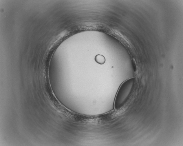 X0000078270306200611251400