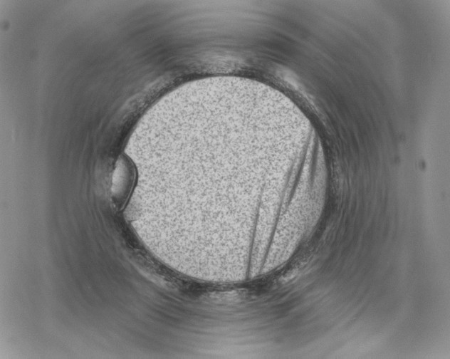 X0000078270307200611251400