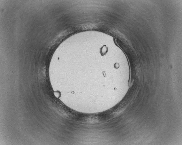 X0000078270308200611251400