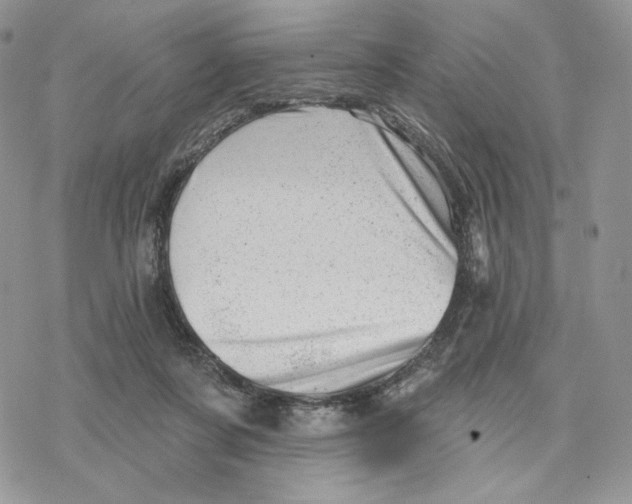 X0000078270311200611251400