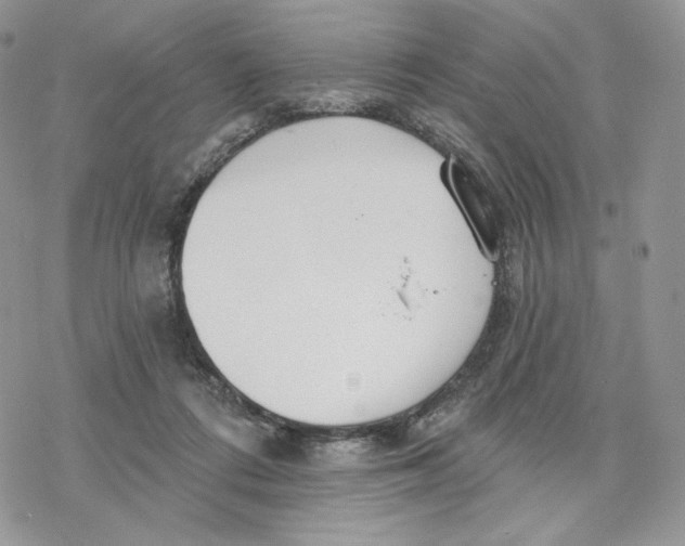 X0000078270312200611251400