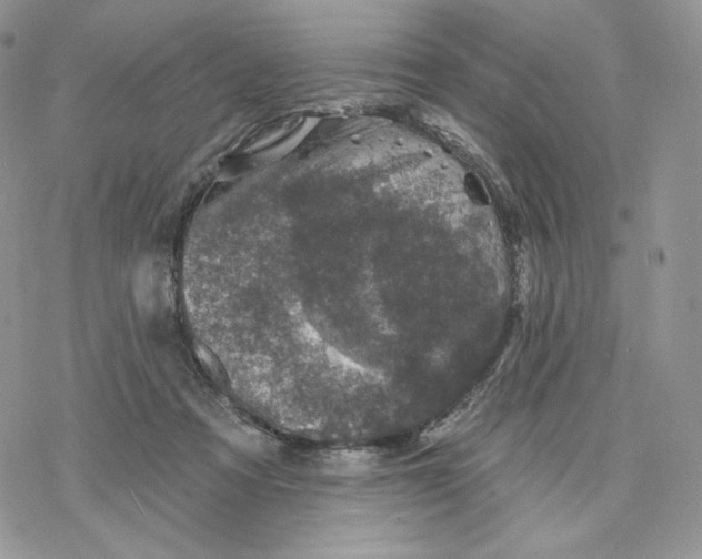 X0000078270313200611251400