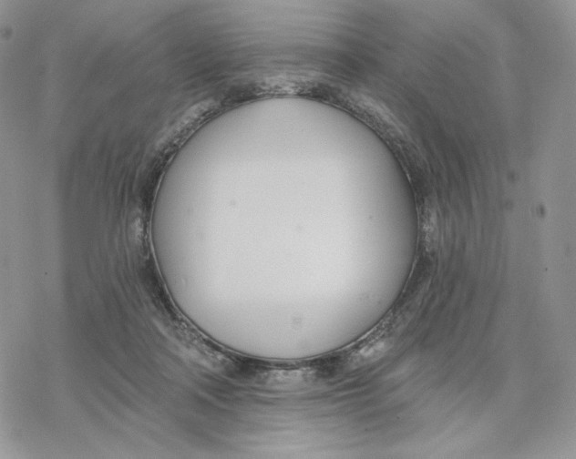 X0000078270314200611251400