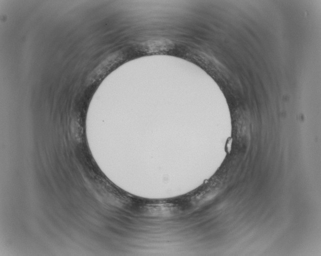 X0000078270316200611251400