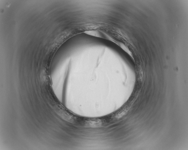 X0000078270317200611251400