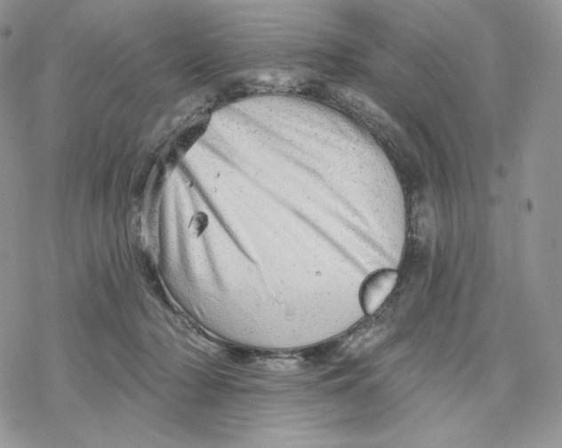 X0000078270318200611251400