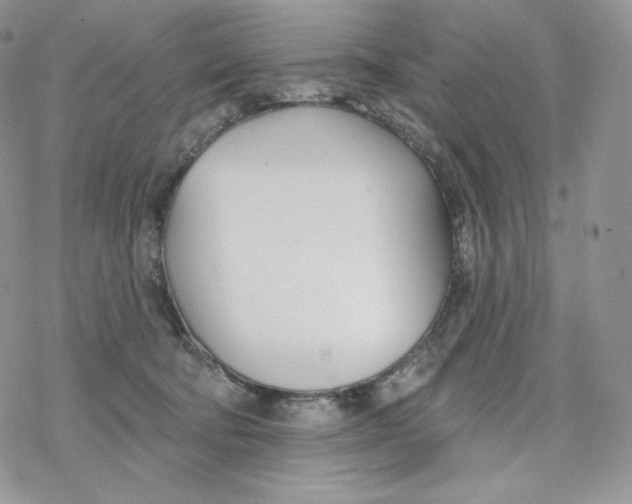 X0000078270322200611251400