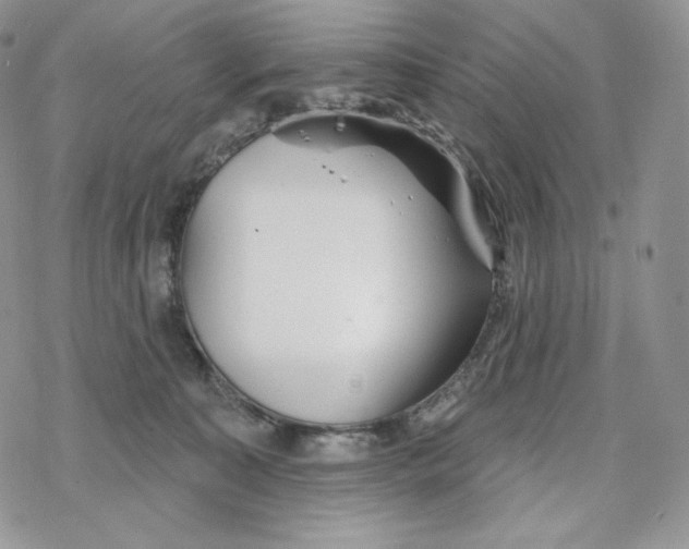 X0000078270323200611251400