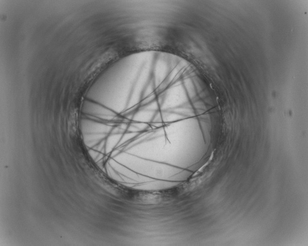 X0000078270325200611251359