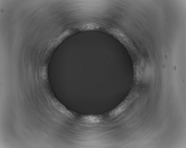 X0000078270326200611251359