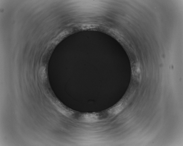 X0000078270327200611251359