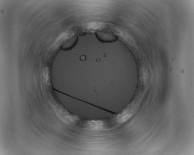 X0000078270328200611251359