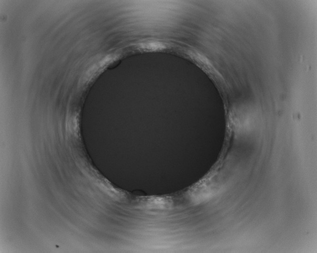 X0000078270330200611251359