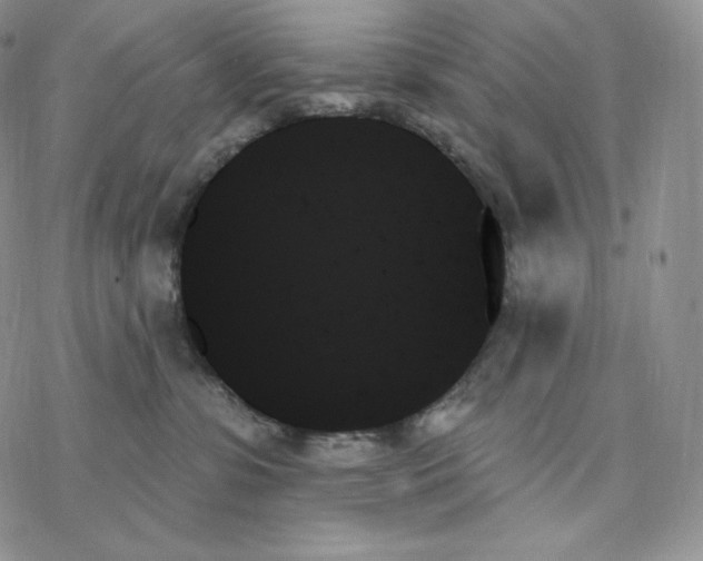 X0000078270331200611251359