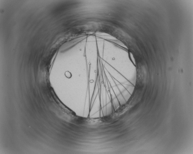 X0000078270333200611251359