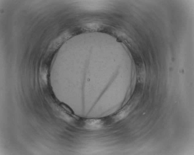 X0000078270334200611251359