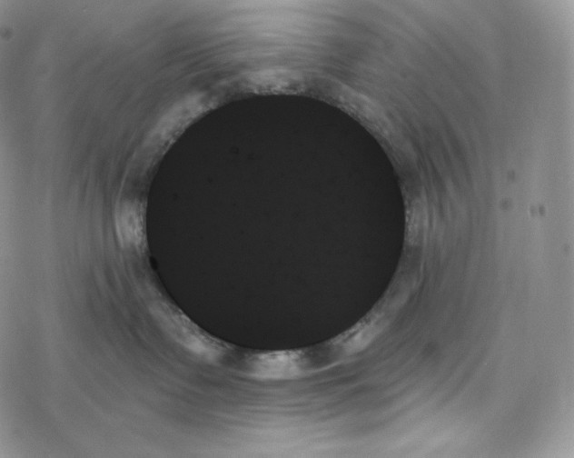 X0000078270335200611251359