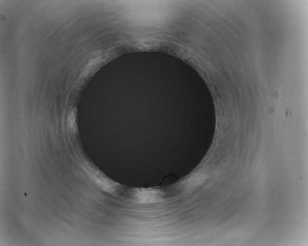 X0000078270336200611251359