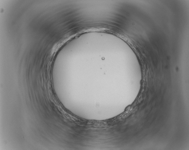 X0000078270337200611251359