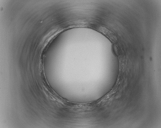 X0000078270338200611251359