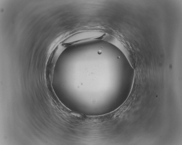 X0000078270340200611251359