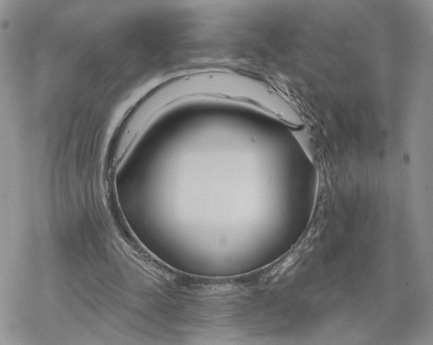 X0000078270342200611251359