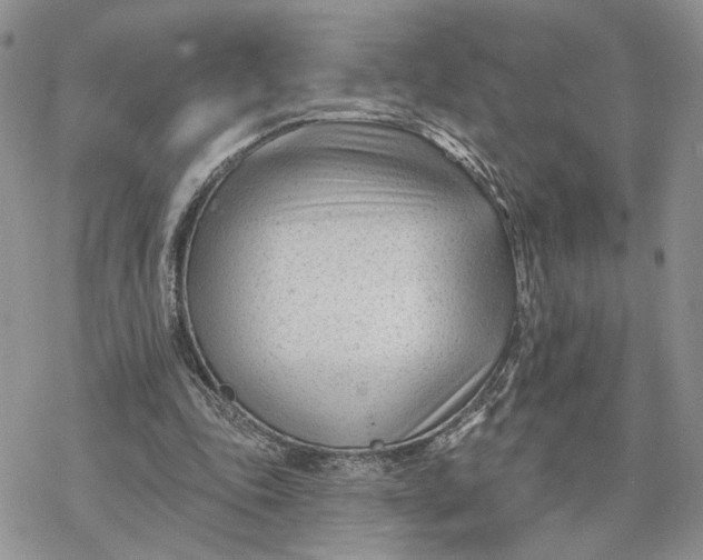 X0000078270343200611251359