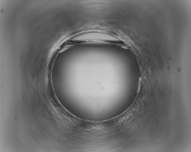 X0000078270344200611251359