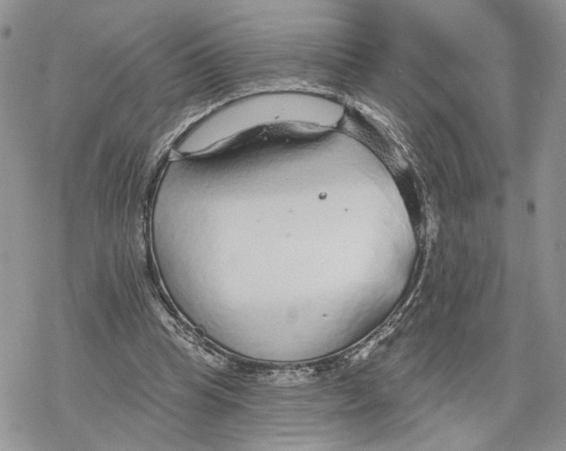 X0000078270345200611251359