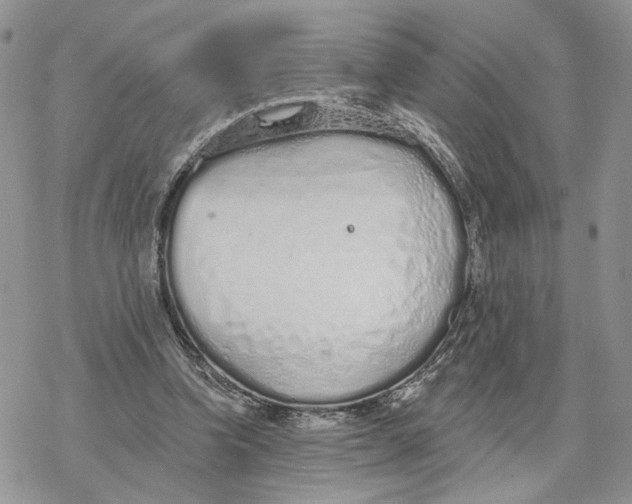 X0000078270346200611251359