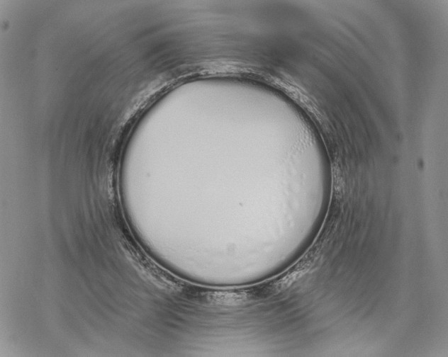 X0000078270347200611251359