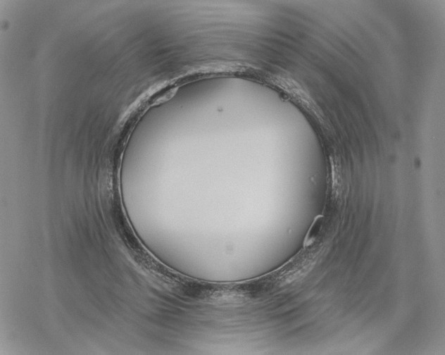 X0000078270348200611251359