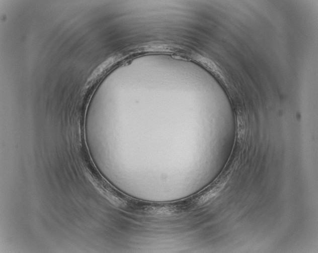 X0000078270349200611251359