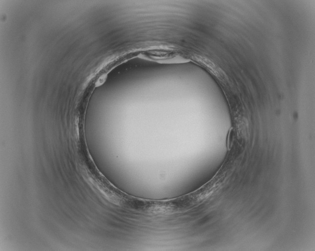 X0000078270350200611251359