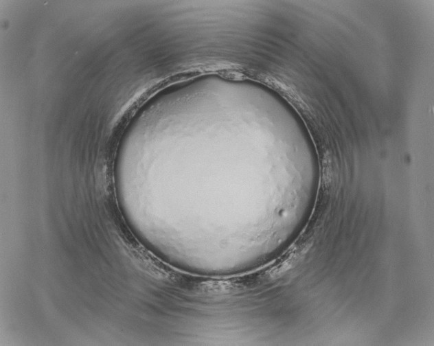 X0000078270351200611251359