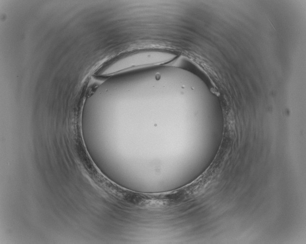 X0000078270352200611251359